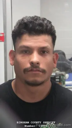 Mugshot of JOSE CAMACHO