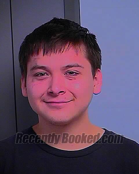 Booking photo from Bingham County, Idaho