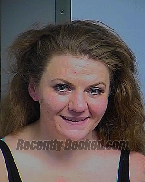 Booking photo from Bingham County, Idaho