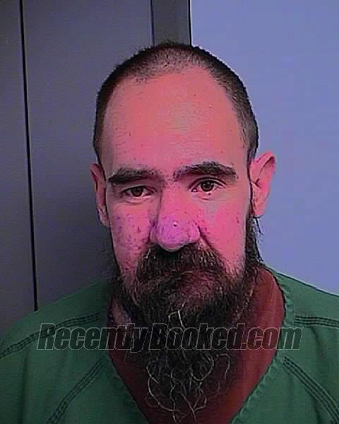 Booking photo from Bingham County, Idaho