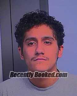 Booking photo from Bingham County, Idaho