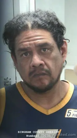 Mugshot of NICHOLAS DAVID MCARTHUR