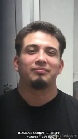 Booking photo from Bingham County, Idaho