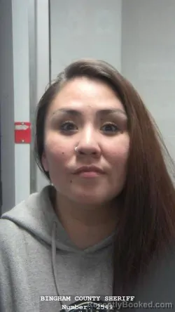 Mugshot of DEBRA RENEE MCLAIN booked in Bingham County, Idaho on April 1, 2026