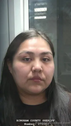 Booking photo from Bingham County, Idaho