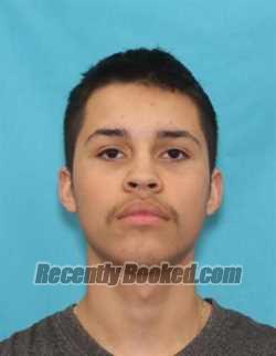 Mugshot of LUIS MATEO GONZALES