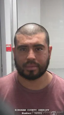 Mugshot of CARLOS M PEREZ-BARRAZA