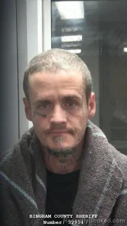 Mugshot of SHAWN BRADLEY BOTT