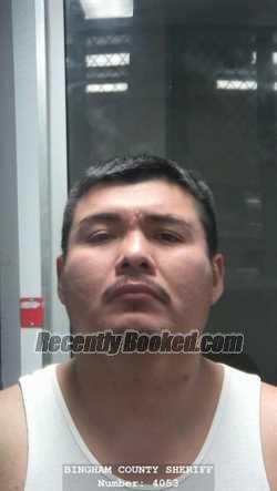 Booking photo from Bingham County, Idaho