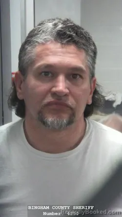 Mugshot of KASIE J COTA