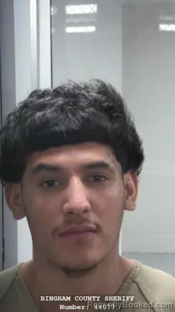 Mugshot of GIOVANNI HERIBERTO MENDOZA-NAVA