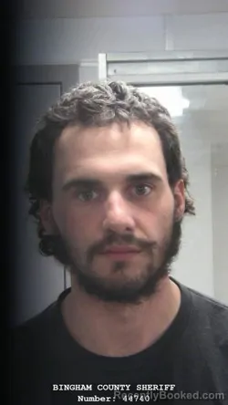 Mugshot of MORGAN JO ALAN ALT