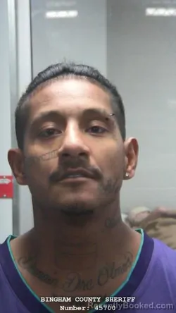 Booking photo from Bingham County, Idaho