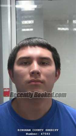 Booking photo from Bingham County, Idaho