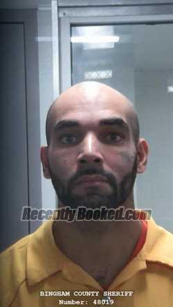 Booking photo from Bingham County, Idaho