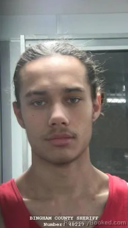 Mugshot of DOMINIC LOGAN MCGUIRE