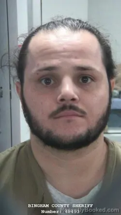 Booking photo from Bingham County, Idaho