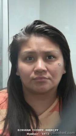 Mugshot of BRIANNA KAYCEE SCHROCK booked in Bingham County, Idaho on March 31, 2026