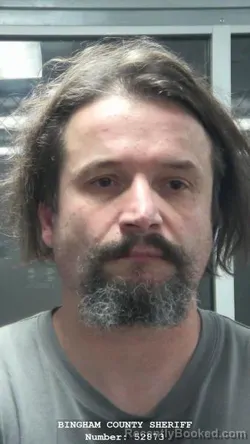 Mugshot of DALIBOR NOGA