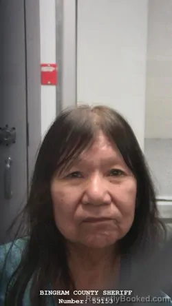 Mugshot of THEORA ROSITA PUNKIN booked in Bingham County, Idaho on March 29, 2026