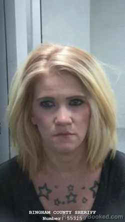 Mugshot of HEATHER ANN TWITCHELL booked in Bingham County, Idaho on April 15, 2026