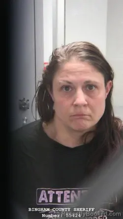 Mugshot of NICOLE STEED