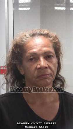 Mugshot of ELIZABETH MARIE DIAZ booked in Bingham County, Idaho on May 1, 2026