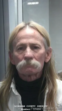 Mugshot of DENNIS DEE CUNNINGHAM