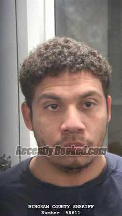 Booking photo from Bingham County, Idaho