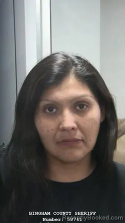 Booking photo from Bingham County, Idaho