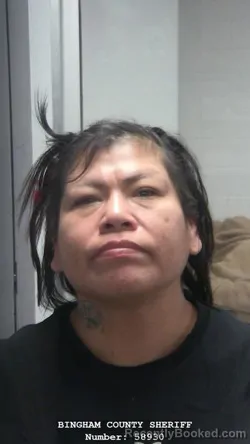 Booking photo from Bingham County, Idaho