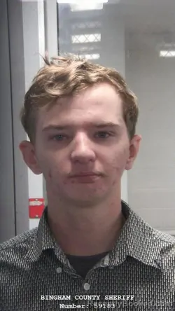 Mugshot of TREYVIN BRASHEARS