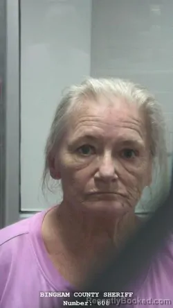 Mugshot of JANIECE LORENE STECKLEIN