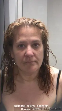 Mugshot of AMANDA ROCHELLE MARRIOTT booked in Bingham County, Idaho on April 1, 2026