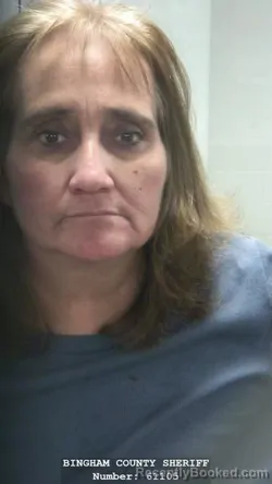 Mugshot of DINA J TRAVIS booked in Bingham County, Idaho on April 1, 2026