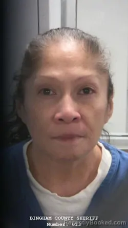 Mugshot of CHRISTEN FAYE MEEKS booked in Bingham County, Idaho on March 30, 2026