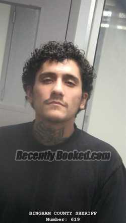 Booking photo from Bingham County, Idaho