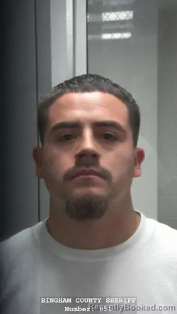 Mugshot of GUSTAVO TORRES