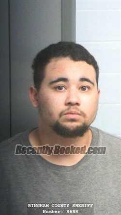 Mugshot of TAYLOR MCKENZIE SWANGUARIM