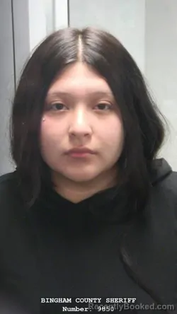 Mugshot of BRIANA HERNANDEZ booked in Bingham County, Idaho on June 23, 2026