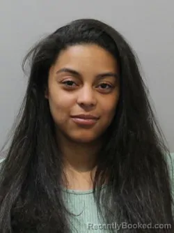 Mugshot of DANIKA COLE booked in Blaine County, Idaho on June 14, 2026