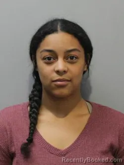 Mugshot of DANIKA COLE booked in Blaine County, Idaho on July 21, 2026