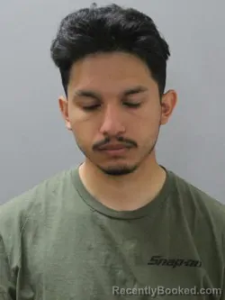 Mugshot of FROILAN JR ENRIQUEZ booked in Blaine County, Idaho on April 3, 2026