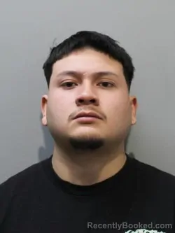 Mugshot of HECTOR GARCIA