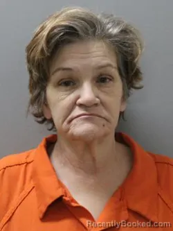 Mugshot of SUSAN GIFFORD booked in Blaine County, Idaho on April 8, 2026