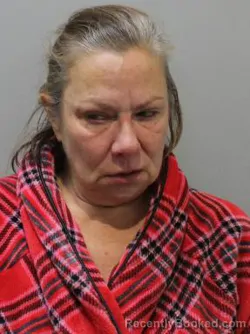 Mugshot of KARENA JONES booked in Blaine County, Idaho on August 4, 2026