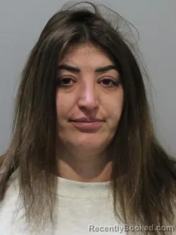 Mugshot of T LILY JENSEN booked in Blaine County, Idaho on April 18, 2026