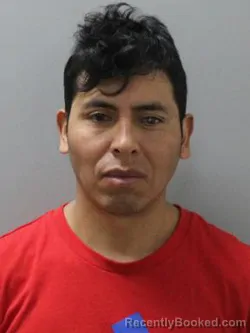 Mugshot of ANDI MALLQUI CAMAC