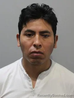 Mugshot of ANDI MALLQUI CAMAC booked in Blaine County, Idaho on March 21, 2026