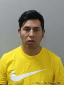 Mugshot of ANDI MALLQUI CAMAC booked in Blaine County, Idaho on April 9, 2026